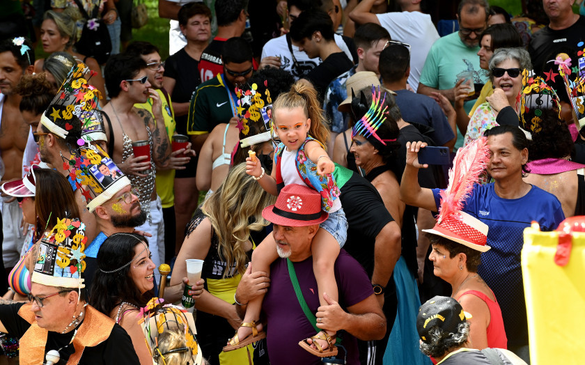 Macaque in the trees