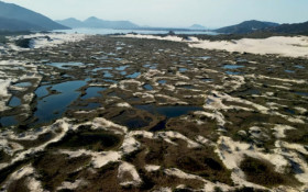 SC: lan&ccedil;a edital de R$ 2,5 milh&otilde;es