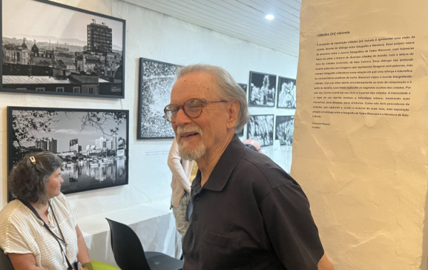 Macaque in the trees