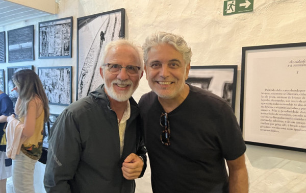 Macaque in the trees