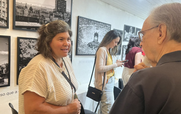 Macaque in the trees