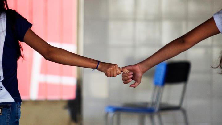 Macaque in the trees