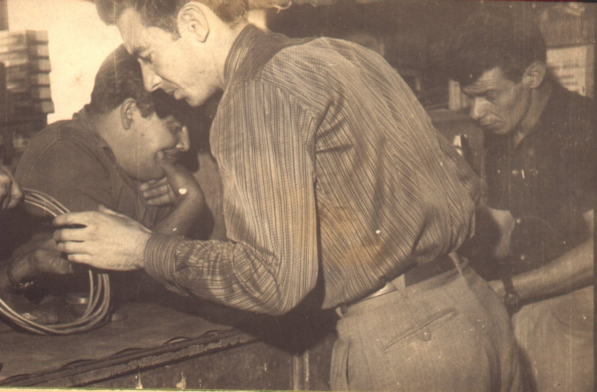 Macaque in the trees