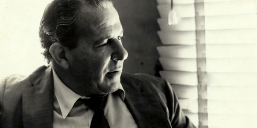 Macaque in the trees