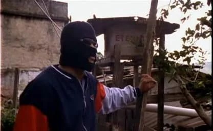 Macaque in the trees