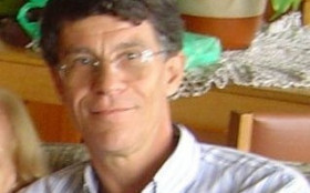 Macaque in the trees