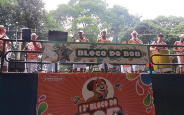 Macaque in the trees