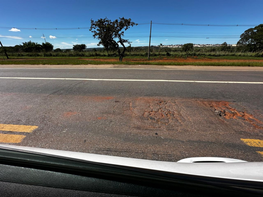 Macaque in the trees