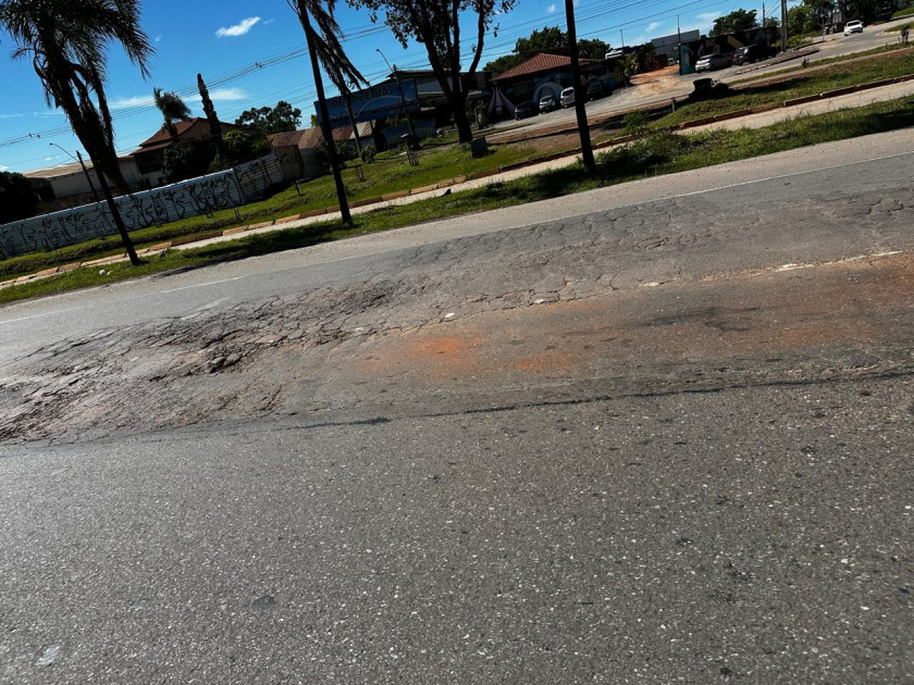 Macaque in the trees