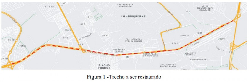 Macaque in the trees