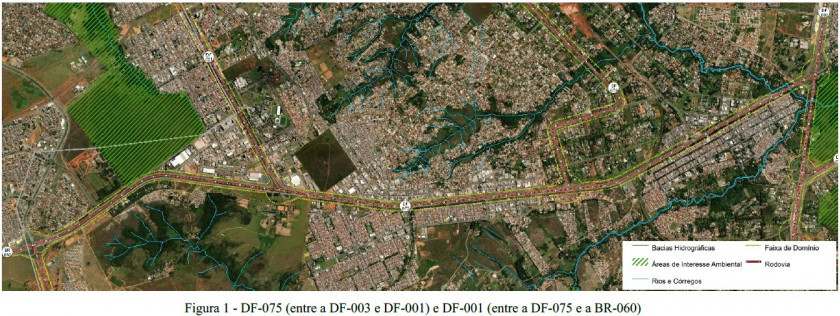 Macaque in the trees