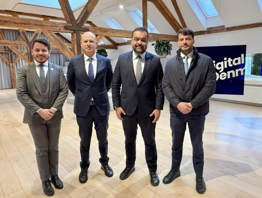 Macaque in the trees