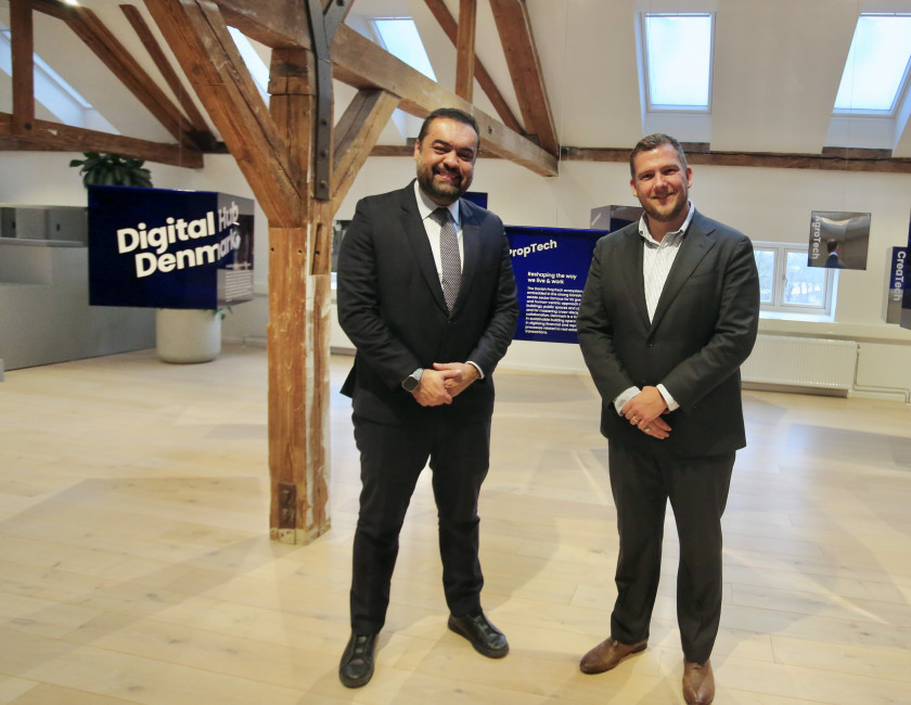 Macaque in the trees