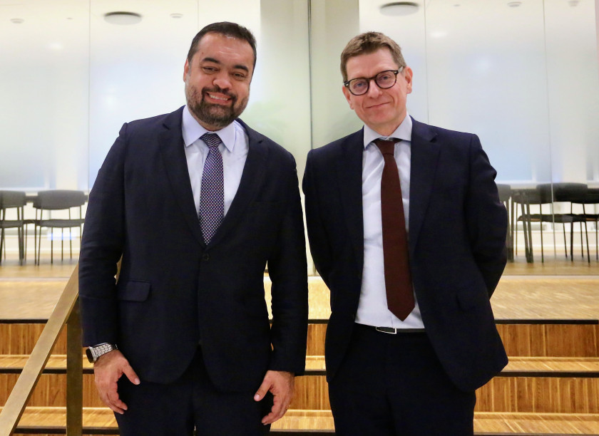 Macaque in the trees