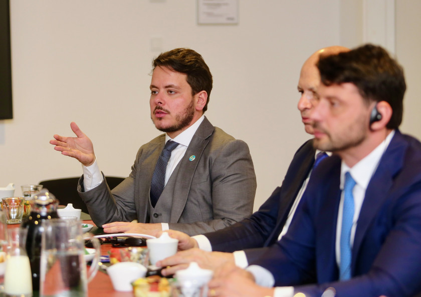 Macaque in the trees