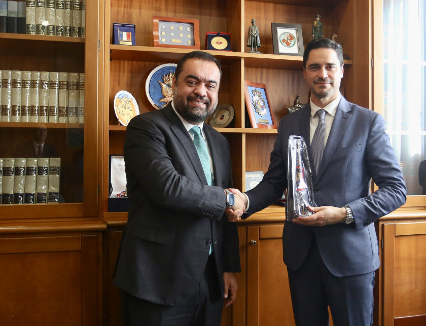 Macaque in the trees