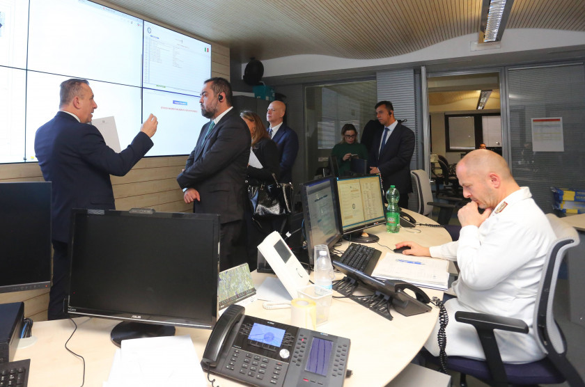 Macaque in the trees