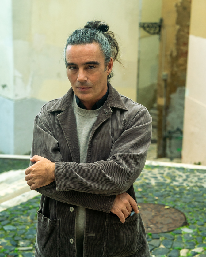 Macaque in the trees