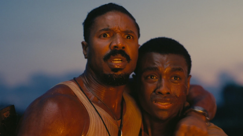 Macaque in the trees