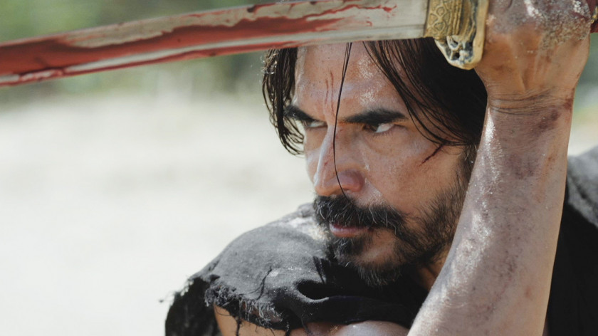 Macaque in the trees