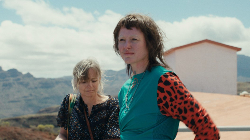 Macaque in the trees