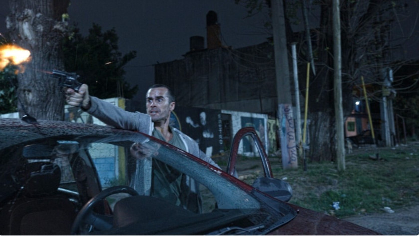 Macaque in the trees