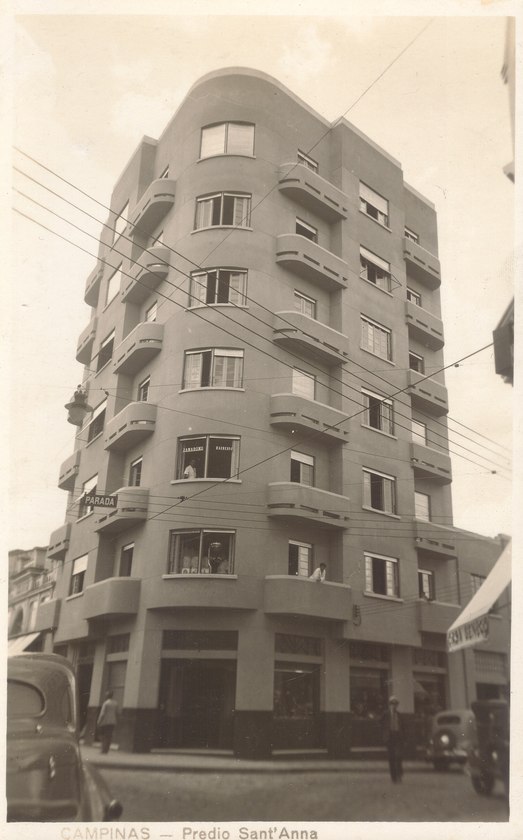 Macaque in the trees