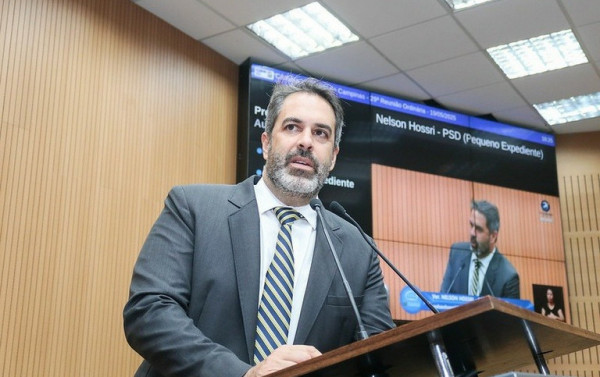 Macaque in the trees