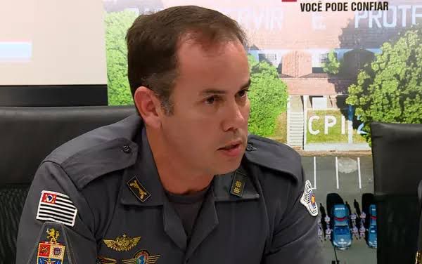 Macaque in the trees