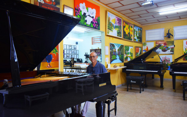 Macaque in the trees