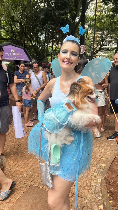 Macaque in the trees