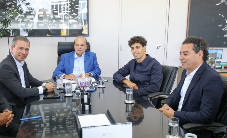 Macaque in the trees