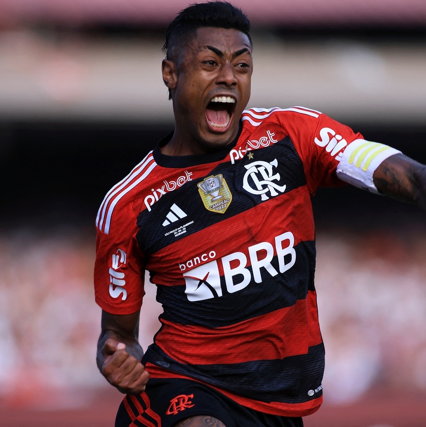 Macaque in the trees