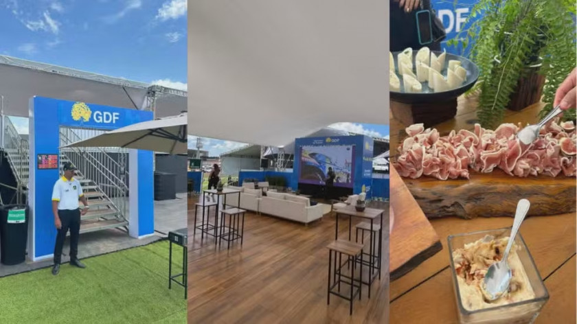 Macaque in the trees