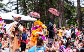 BRASILIANAS | Carnapatinhas oferece vacina&ccedil;&atilde;o e microchipagem gratuita para c&atilde;es no Carnaval de Bras&iacute;lia