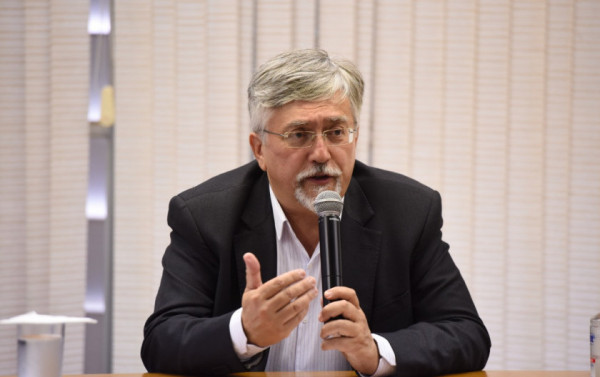 Macaque in the trees