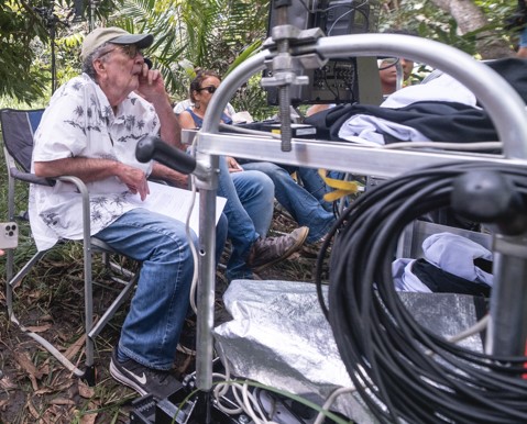 Macaque in the trees