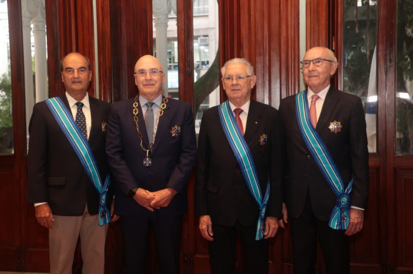 Macaque in the trees