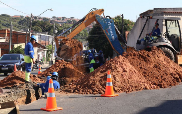 Macaque in the trees