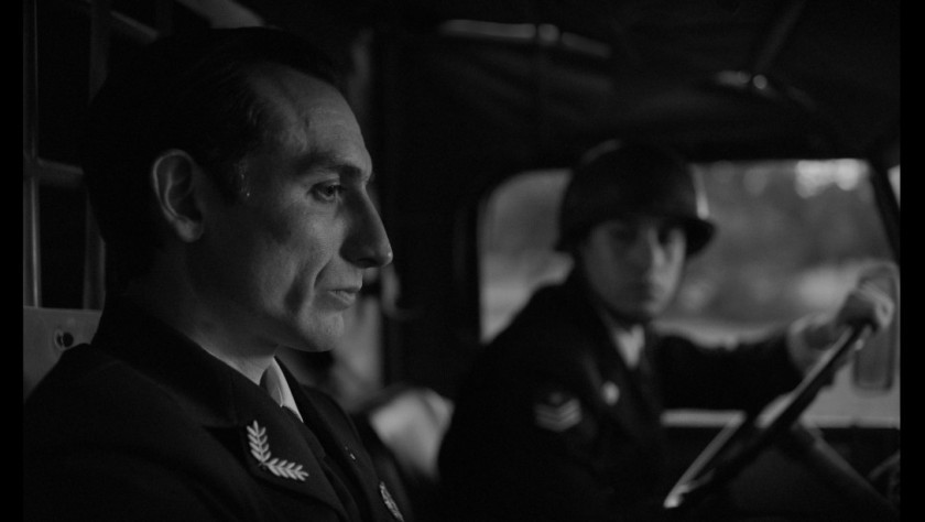 Macaque in the trees