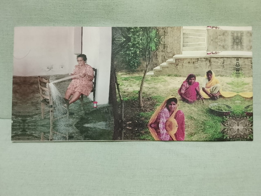 Macaque in the trees