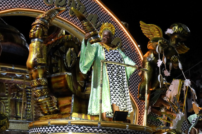 Macaque in the trees