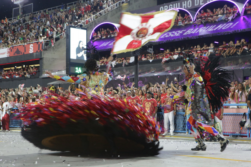 Macaque in the trees