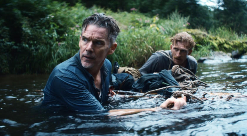 Macaque in the trees