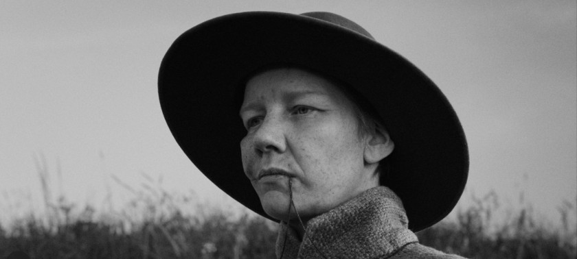 Macaque in the trees