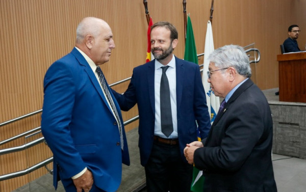 Macaque in the trees