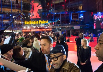 Macaque in the trees
