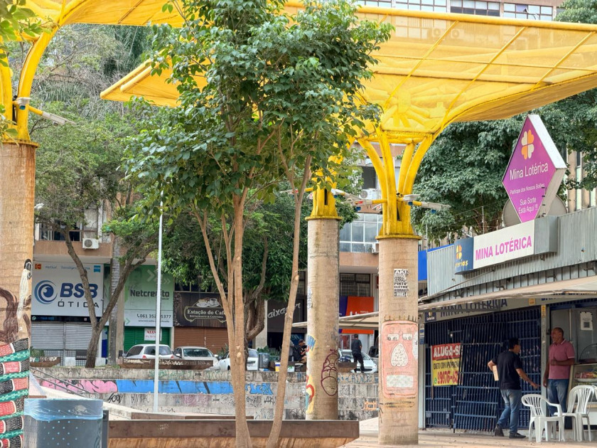 Macaque in the trees