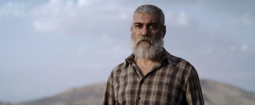 Macaque in the trees