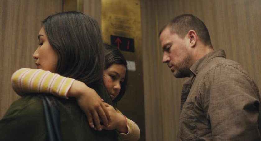 Macaque in the trees